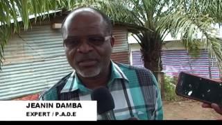 Documentaire PROFAP formation agricole Congo