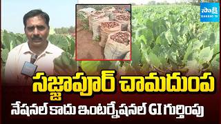 GI Tag to Sajjapur Taro Root | Geographical Indication | Sangareddy | Telangana News | @SakshiTV