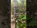 صباح الخير مع أم كلثوم