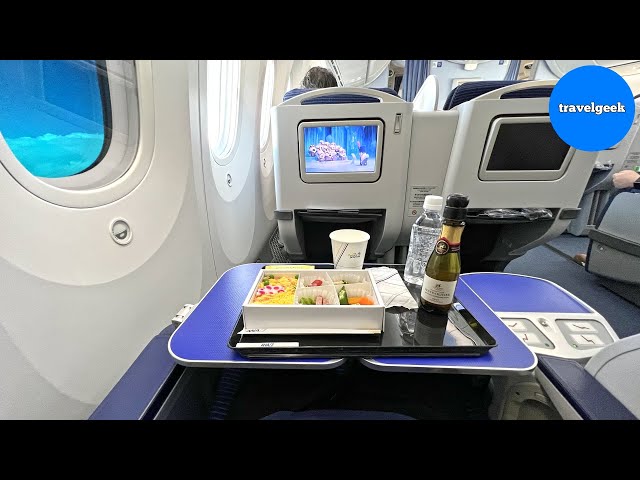 邦楽 first class speed of light 邦楽 first class speed of light Speed Of Light | JayNight