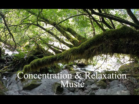 Connection with the Sound of Nature. Relaxing your Mind and Soul