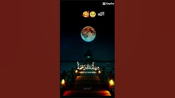 القران الكريم ربيع قلوبنا ونور صدورنا 🥰😌 #اكسبلور #دويتو #القران #لايك