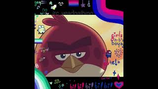 Angry Birds - Red × Chuck (edit/fancam idk)