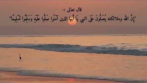 "إن الله وملائكته يصلون على النبي" بصوت جميل | تلاوة خاشعة 🧡