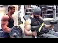 All John Abraham's Intense Gym Bodybuilding Workout Videos