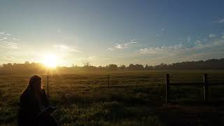 John Chapter 4 @FaithFarmMom
