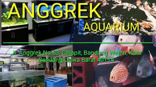 ANGGREK AQUARIUM,TOKO AQUARIUM BANDUNG