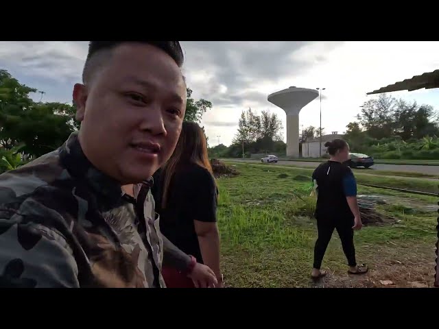 Cari Pucuk Miding Kebun Sayur Belakang Rumah Di KG Panaga Seria,Brunei…// class=