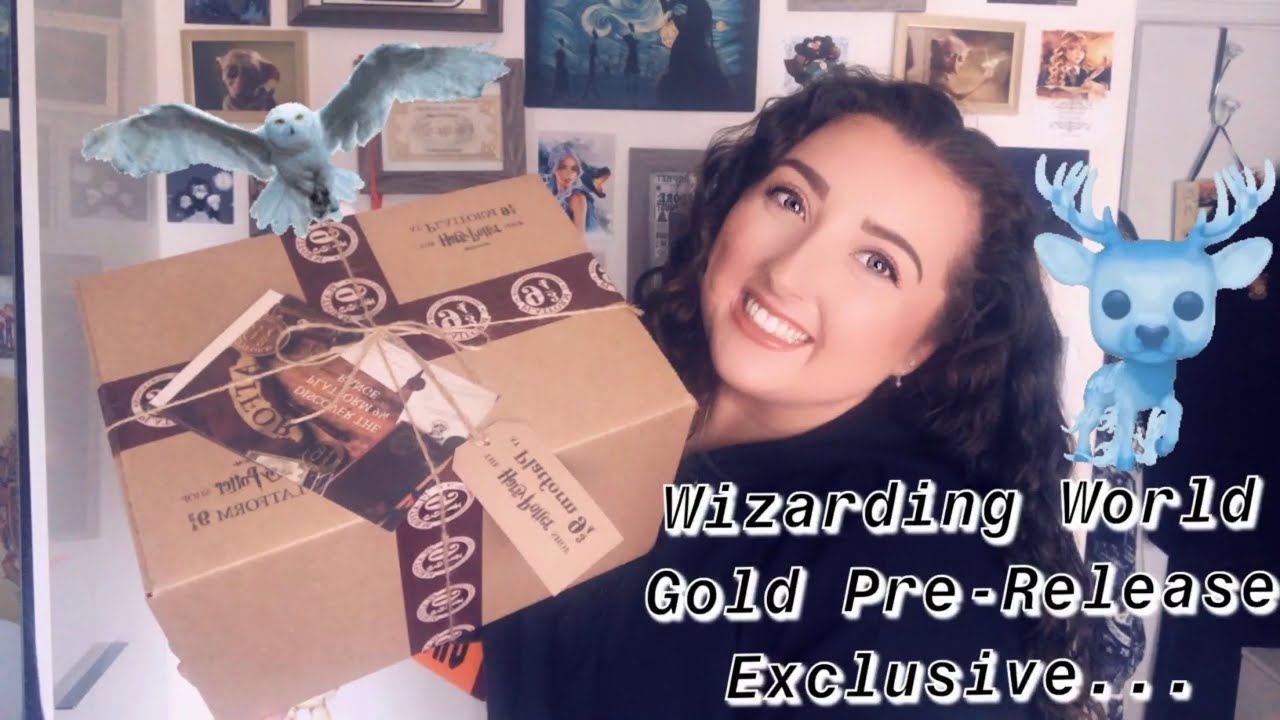 EXCLUSIVE Harry Potter Wizarding World Funko Pop  | Antonia Davitt