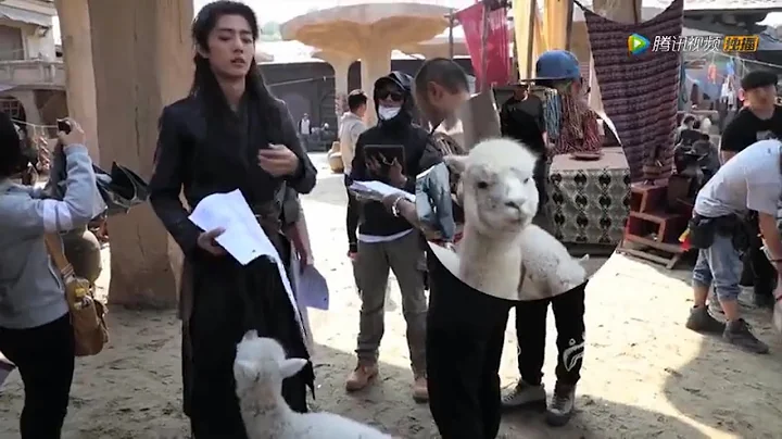 《Douluo Continent 斗罗大陆》BTS: It turned out that the alpaca that Tang San embraced was real? - DayDayNews