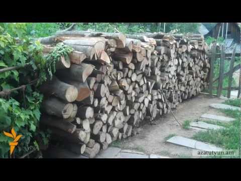 Video: Ի՞նչ է ջերմամշակված փայտը:
