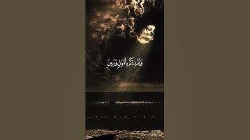 تلاوه خاشعه تقشعر منها الابدان بصوت ماهر المعيقلي #استغفرالله #الاستغفار #quran #قران #اكسبلور #اجر