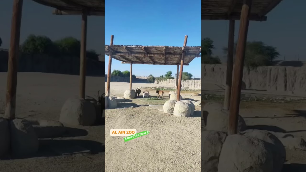 Unleashing your inner adventurer at Al Ain Zoo 