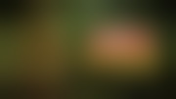 How do I stop Pythium or Fusarium from ruining my grow?