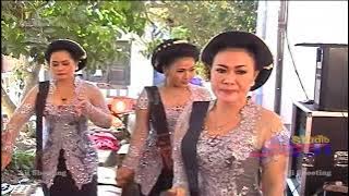 MANI MANISE TEBU TAYUB TEROB MALANGAN