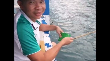 Review câu mực đêm tại Hòn Khô - Nhơn Hải thành phố Quy Nhơn