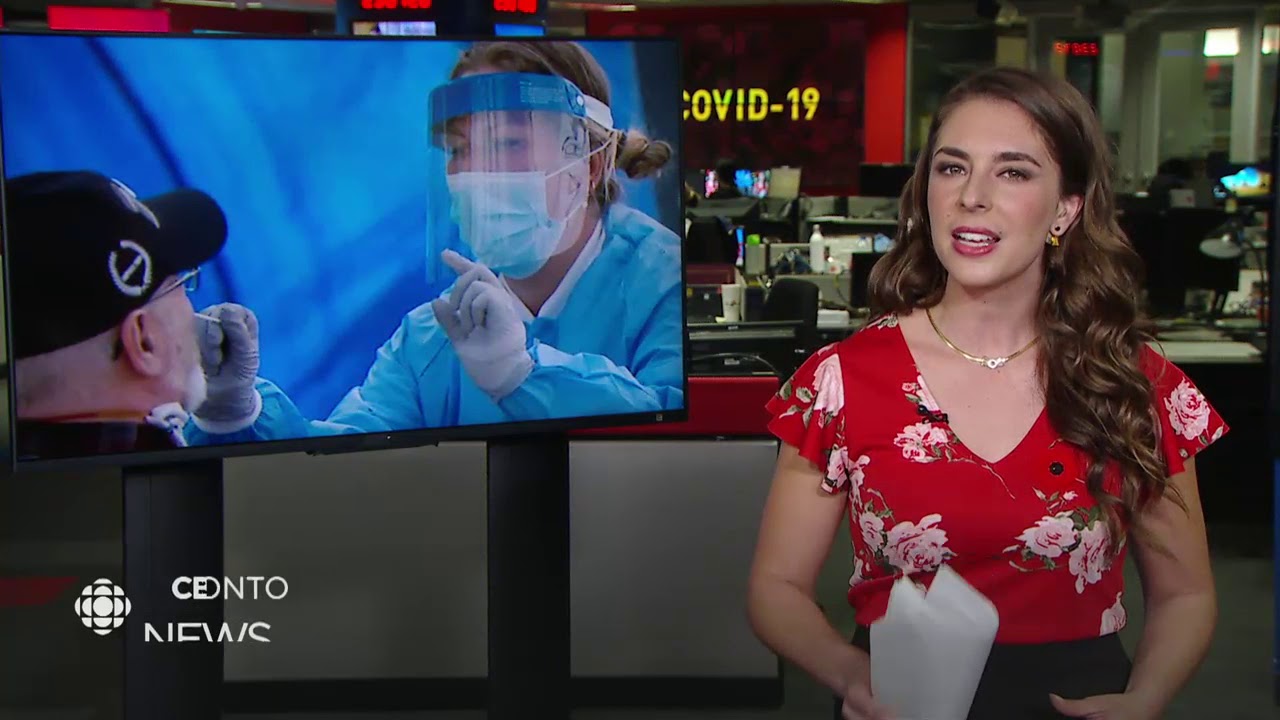 CBC News Toronto November 05, 2020 [Late Night] YouTube