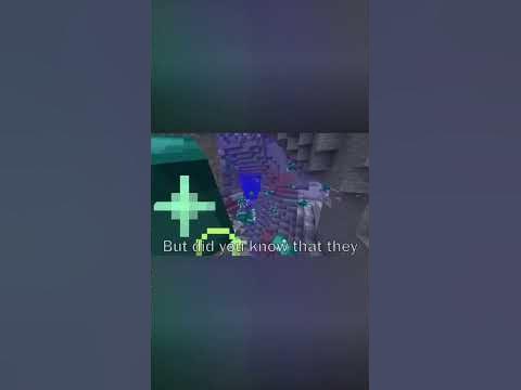 Where Do Glow Squids Spawn? - YouTube