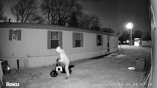 The people in my side yard from my security camera 