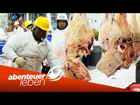 Steak Paradies In New York City Hier Gibts Das Beste Beef Der Usa Abenteuer Leben Kabel Eins Youtube