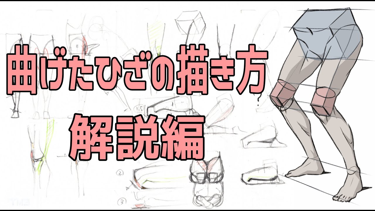 膝の描き方 骨から筋肉 関節までも徹底解説 コレを見れば曲がった膝も超簡単 ライブ切り抜き Youtube