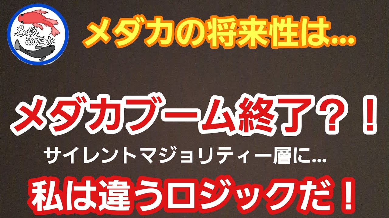 【驚愕の真実】みんなメダカは飼ってないの？メダカシーズン到来前に知っておきたいこと