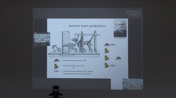 IIT Madras- CCBR- Prof  Peter Dayan-“Neural Reinforcement Learning”