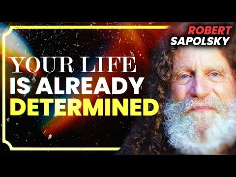 Free Will, Morality, Self Awareness | Robert Sapolsky