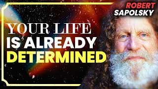 Free Will, Morality, Self Awareness | Robert Sapolsky screenshot 3