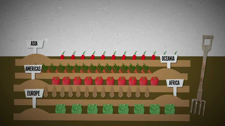 What is food insecurity? An explanation