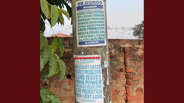 Dr Bongo