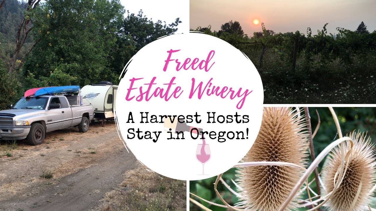 Freed Estate Winery / A Harvest Hosts Stay in Winston, Oregon! YouTube