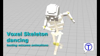 Voxel Skeleton dancing