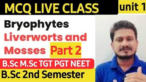 Bryophyta MCQ B.Sc 1st Year 2nd Semester | Unit 1 Most important Objective Question Botany
