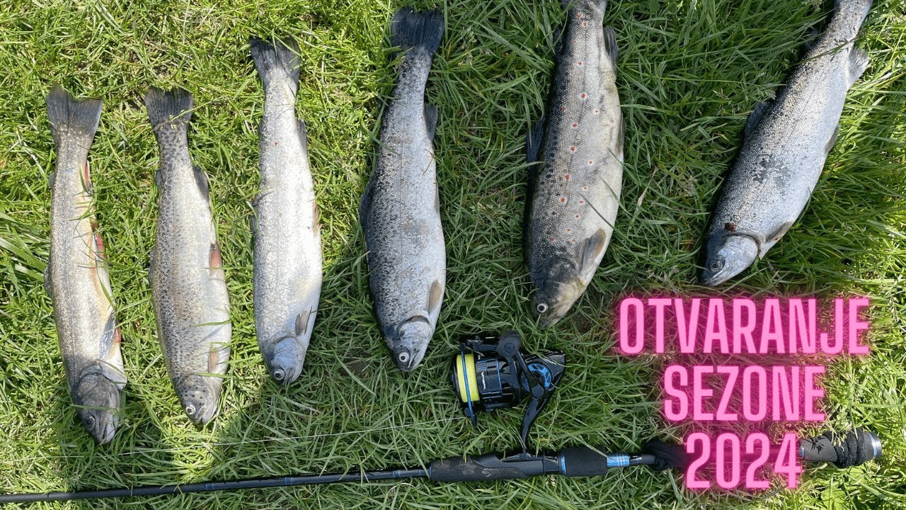 Pecanje pastrmke u prolece,otvaranje sezone 2024