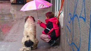 Animals That Asked People for Help & Kindness - HeartWarming Videos That Will Make You Cry😭