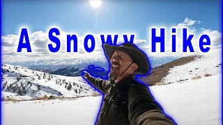 Hiking in the Snow to the Ancient Bristlecone Pine Forest (Methuselah Grove) Car Camping Travel Vlog