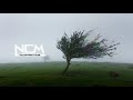 Ikson - Tender Wind [No Copyright Music]