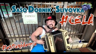 Video thumbnail of "SAŠO DOBNIK - CELA Slivovka (LEVO DESNO - Parodija Domen Kumer & Ans Stil)"