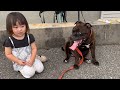 じぃじと孫とイッヌ。