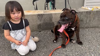 じぃじと孫とイッヌ。