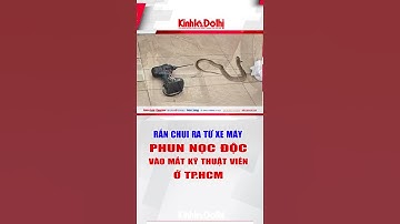 Rắn chui ra từ xe máy, phun nọc độc vào mắt kỹ thuật viên ở TP.HCM