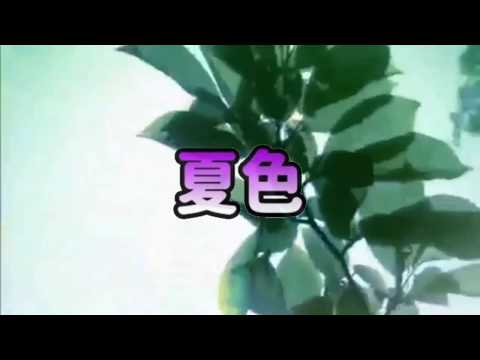 カラオケ 夏色/ゆず