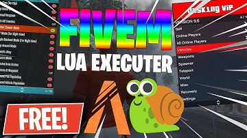 FiveM Hack - Free Menu NO EXECUTOR REQUIRED + Bypass (PLAYER OPTION) (UNDETECTED 2020)