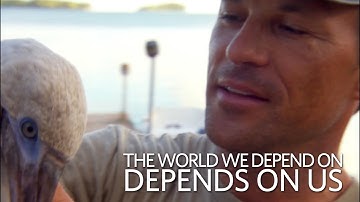 The World We Depend on Depends on Us