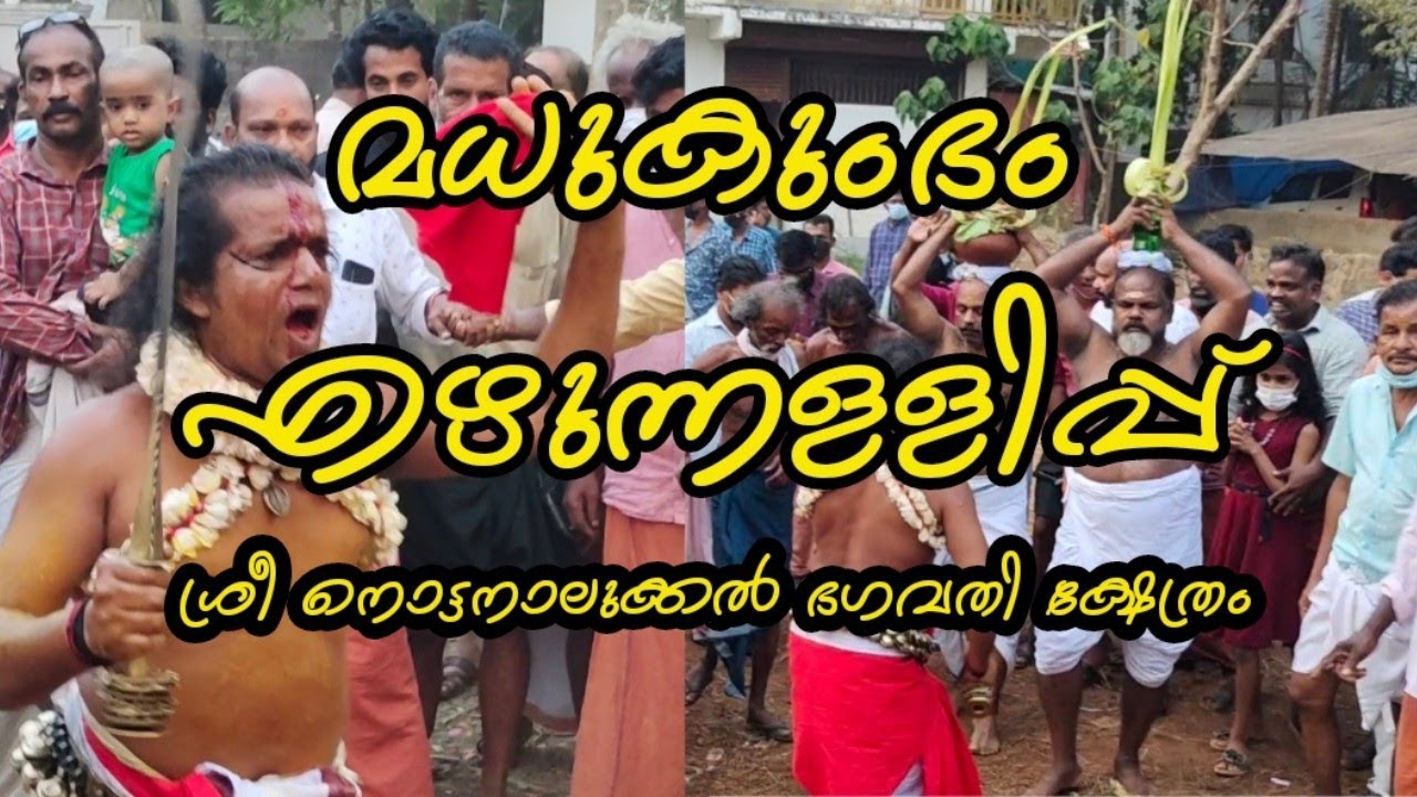 മധുകുംഭം എഴുന്നള്ളിപ്പ് l
ശ്രീ നൊട്ടനാലുക്കൽ ഭഗവതി ക്ഷേത്രം I  Nottanalukkal Temple I Kuttippuram