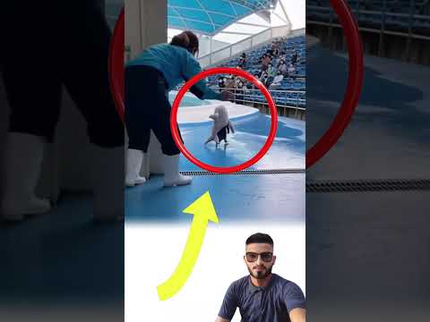 برد شديد حتى البطريق لبس جاكيت مشهد مؤثر ولطيف لايك متاب متابعه ترند 