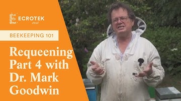 Beekeeping 101: Requeening Part 4 - TWO Queen beehives? Dr Mark Goodwin