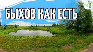 видео: Быхов как есть. Сабиловка- аистовый рай. картинка: Быхов как есть. Сабиловка- аистовый рай.