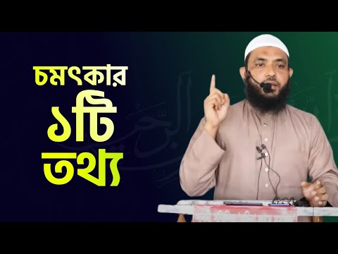 একটি চমৎকার তথ্য দিলেন | শায়েখ মাহমুদ বিন ক্বাসিম | As Salafi